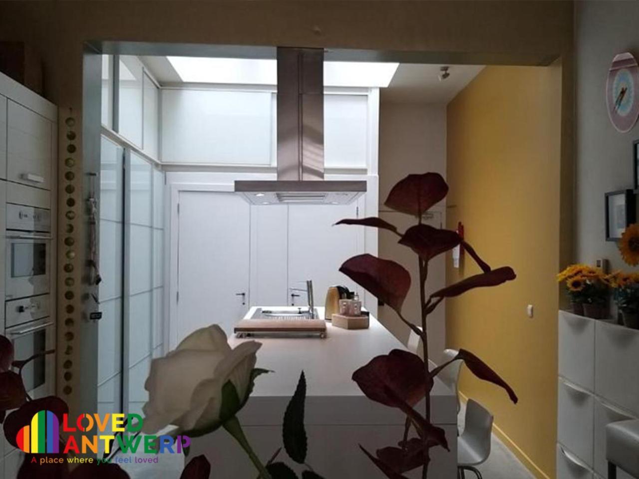 Wellness Loft With Sauna, Jacuzzi, Roof Terrace & Amazing View Apartment Antwerp Exterior photo
